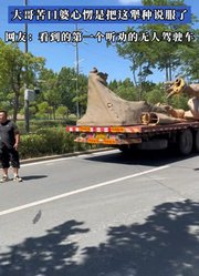 无人驾驶快递车遇到“史前巨兽”，大哥苦口婆心愣是把犟种说服了