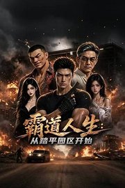 霸道人生：从踏平园区开始