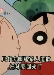 家里的小孩最近迷上了《蜡笔小新》把球要回来，还拉着爸妈一起看