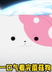 一口气看完蘑菇狗