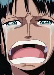 大爱罗宾路飞和罗宾的过去居然如此煽情泪目