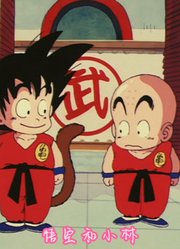 龟仙流如果选掌门，小林绝对稳胜悟空