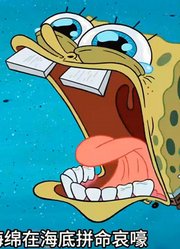 海绵宝宝：海底最后一只松鼠抛弃自己的种族，进化成一条大头鱼
