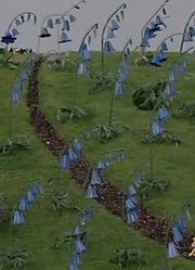 怎么之前没早看《天线宝宝》Bluebells，很有收获