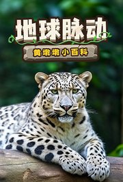 黄墩墩小百科：地球脉动