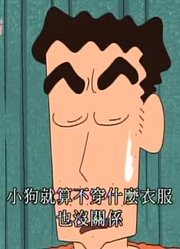 实话实说,小白也要打扮哦可能是《蜡笔小新》里质量最高的了呢