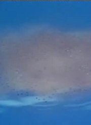 熊孩子一回家就老看《哆啦A梦》失物回来的喷雾下，游戏都不玩了