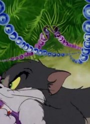 据我所知,平安夜可能是《猫和老鼠高清版》里最值得看的了呢