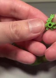 布鲁可宝可梦伊布