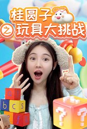 桂圆子之玩具大挑战