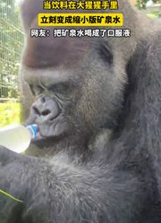 当饮料在大猩猩手里，立刻变成缩小版矿泉水