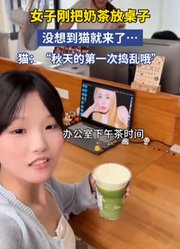 女子刚把奶茶放桌子，没想到猫就来了……