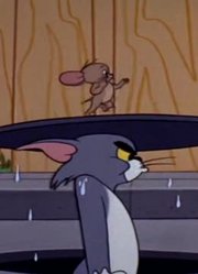 《猫和老鼠高清版》聪明的杰瑞设定真不错，甚至连班长都在讨论