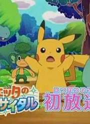 【CM】pokemon电影特别节目