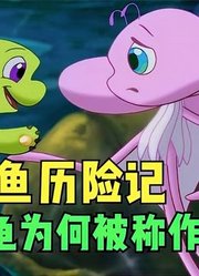 小鲤鱼历险记：双面龟为何被称为舔狗？泡泡终于获得金鳞认可