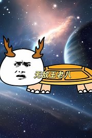 无敌王老八