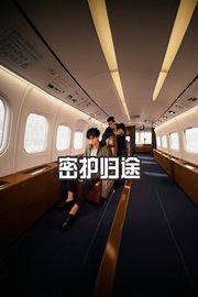 密护归途