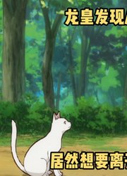 七月新番：《猫与龙》第5集，龙皇发现自家的小猫想要出去称王