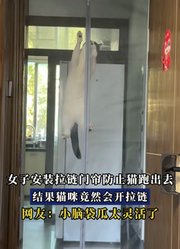 女子安装拉链门帘防止猫跑出去，结果猫咪竟然会开拉链