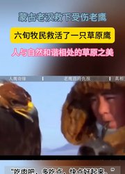 人与自然和谐相处的草原之美六旬牧民救活了一只草原鹰