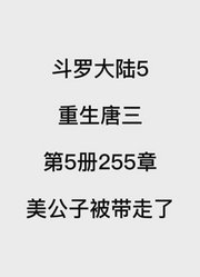 斗罗大陆5：重生唐三第5册第255章：美公子被带走了