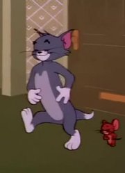 猫和老鼠高清版