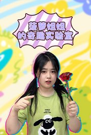 菠萝姐姐的奇趣实验室