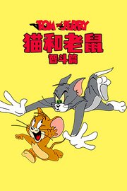 猫和老鼠智斗篇