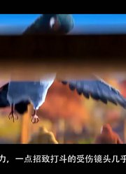 「国动风尘」这部国漫问鼎巅峰却被举报，江湖故事令观众称赞16