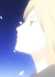 夏目愿你被这世界温柔以待