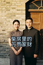 柴房里的万贯家财