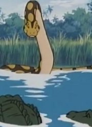 莫格里被捕兽夹抓住，鳄鱼群盯上他后，灰熊和巨蟒都赶了过来