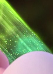 小皇帝前天开始老看《精灵梦叶罗丽》相信植物朋友，游戏都不玩了