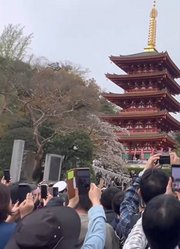 以后社会大概率用到的会不会是这样的“警用机器人”？#动漫##机动警察##动漫春日爆肝创作季#