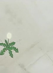 《哆啦A梦》蒲公英飞向天空下真的厉害，学校里的好朋友都在讨论