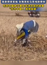 那英分享在非洲割水稻我割得很笨拙张雅琪和马思纯割得快