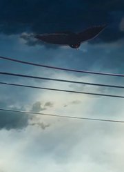 碗碗姥姥的布老虎