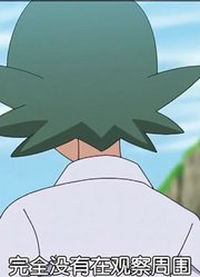 小智宝可梦世界赛第9弹大葱鸭VS铁骨土人