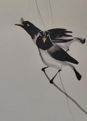 简单易学，一学就会系列