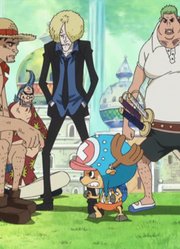 《海贼王》乔巴是靠什么辨别小伙伴的