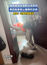 猫咪被妹妹强制拉进房间，原因竟是想让猫咪吹空调