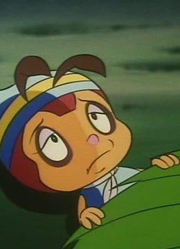 小蜜蜂寻母记第1季