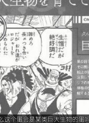 盘点海贼王当中最神秘的五大伏笔，罗杰船上有巨蛋？东海也有秘密