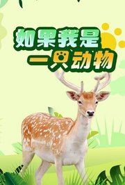 如果我是一只动物中文版