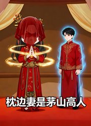 枕边妻是茅山高人