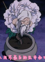 沦为肥料的仙人化身弓箭，帮犬夜叉灭掉成精的妖树