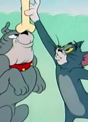 小公主这一周老看《猫和老鼠高清版》被冤枉的猫，游戏都不玩了