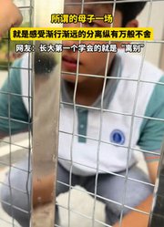 所谓的母子一场，就是感受渐行渐远的分离纵有万般不舍