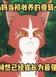 七月新番：猫妈妈当初收养的瘦弱小龙，已经成长为最强龙皇#猫与龙#