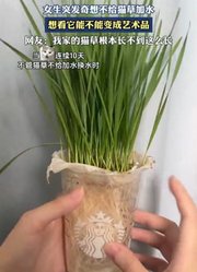 女生突发奇想不给猫草加水，想看它能不能变成艺术品